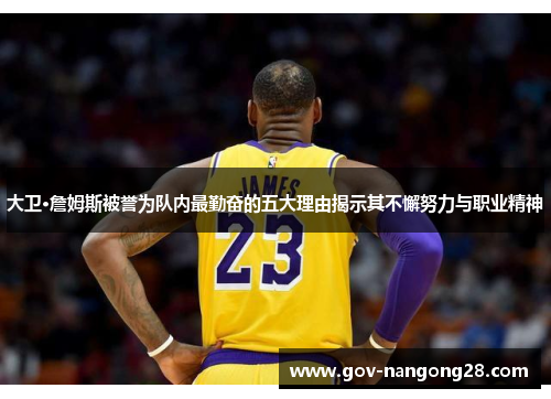 大卫·詹姆斯被誉为队内最勤奋的五大理由揭示其不懈努力与职业精神